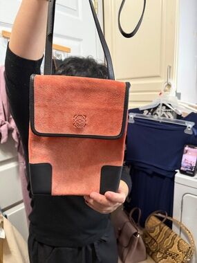 Discoloured Loewe Bag